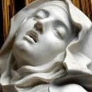 자인동물병원 | 프리드리히 니체의 [도덕의 계보]를 읽고