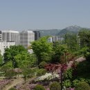 꽃사슴 경로당 이미지