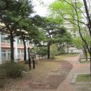 순천성동초등학교 이미지