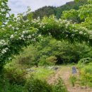 홍천산골놀이터 이미지