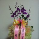 삼척남초교 이미지