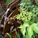 밀양관광펜션 아름드리 이미지