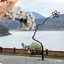 운문산 둘레길 | [청도 벚꽃 명소] 운문댐 벚꽃길 드라이브/ 운문산 둘레길 산책하기 너무 좋아요 /개화상황 /포토존...