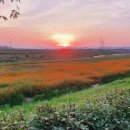 황금노을 이미지