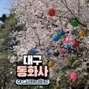 대구 DRT 이용방법 + 동화사 절밥 후기 (feat. 주지스님과 1시간 논쟁?🤫)