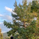 중리남로 이미지