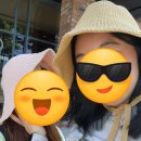 가재약국 | 강릉 1박 2일 여행기록 볼사람(0명) (mbti p 100%, 뚜벅이)