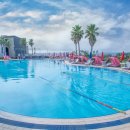 비고리조트 6 이미지