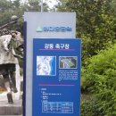 다지구장 Daum카페