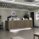 차지우동물병원 | 8살 고양이 건강검진+스케일링