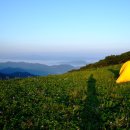 6월 1째주 정기산행 곰배령 이미지