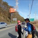 부산광역시기장군청 Daum카페