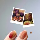 해밀예당2로 이미지