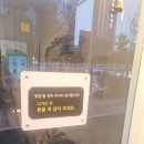 꽃멍블루밍레시피
