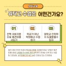 영천애견미용 이미지