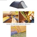 쉘터