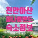 피나클랜드 이미지