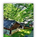 2026년 민족문화유산을 찾아서 - 경기도 김포 우저 서원