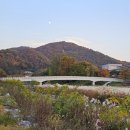 대성대여소 이미지