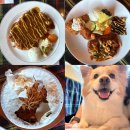 음봉면 음봉로 | 충남 아산 반려동물 동반 돈까스 맛집 '시인과 촌장' 내돈내산 솔직후기 / 애견동반 식당