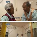 백년회로 이미지