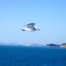 에덴마을 이미지