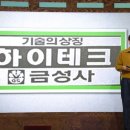 금성광고기업
