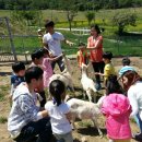 재원목장 이미지