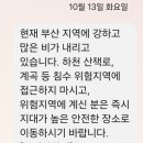 억수같이 쏟아집니다☔️ 이미지