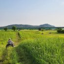 부여 서울농장 이미지