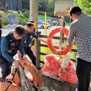 적성면사무소 이미지