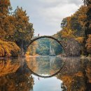 자연의 꿈 이미지