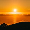 투썬파파 | 닉네임을 바꾼다면?