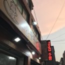 사리경로당 | 2025년 벚꽃놀이