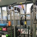 FITNESS GOJIB 네이버블로그