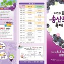 포도PC 이미지