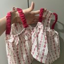 멍꾸러기 이미지