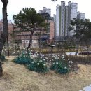 참(charm)행정사 사무소 이미지