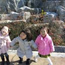 진동근린공원 이미지