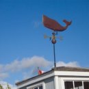 동방아동재활원 이미지