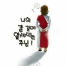 고은인셀덤 - 의령군 | 고은인셀덤