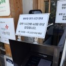 전복짬뽕뽕뽕뽕 | 강릉 맛집 추천|카페 툇마루부터 최일순짬뽕순두부까지 1박 2일 먹거리 투어 솔직 후기