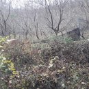 나무부동산중개 이미지