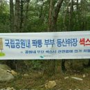 이런곳도있네 Daum카페