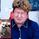 무지개다리 이미지