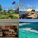 (주)수가축약품 | 시드니공항 입국심사 음식물 약품 반입 후기 상비약 리스트 호주 입국신고서 주의사항