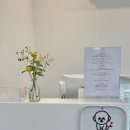 몽쉘포포 이미지