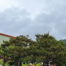 홍티마을회관 이미지