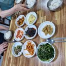 울릉하하 이미지