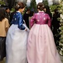 여기한복 | 분당한복대여 고민하다가 결국 여기로 결정한 이유(리얼후기)